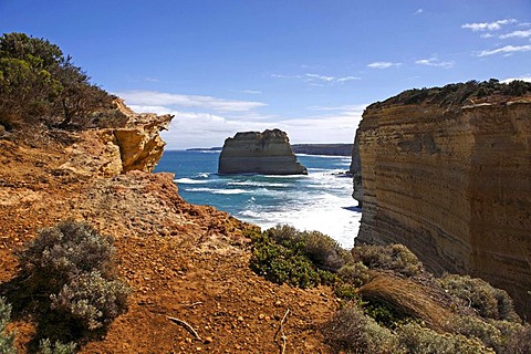 Limestone rock stack, vegetation and coastal cliffs, Great Ocean Road, Port Campbell National Park, Victoria, Australia