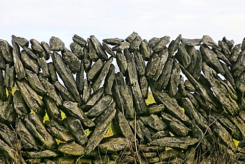 Stonewall, The Burren, County Clare, Republic of Ireland, Europe