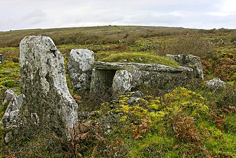 Neolithic wedge tomb, Parknabinnia, The Burren, County Clare, Republic of Ireland, Europe