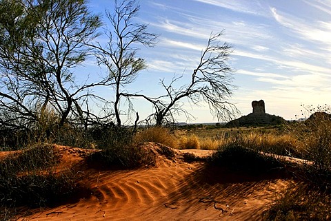 Historical pioneer landmark Chambers Pillar, 50 m high sandstone column in the red outback Australian landscape, Northern Territory, Australia