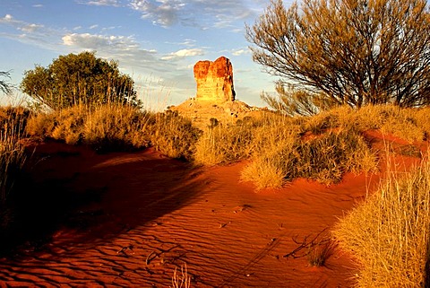 Historical pioneer landmark Chambers Pillar, 50 m high sandstone column, Northern Territory, Australia