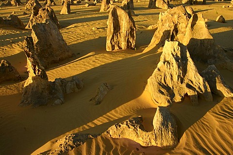 The Pinnacles Desert and limestone formations, Nambung National Park, Western Australia