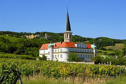 Deutschordensschloss guesthouse of the Teutonic Knights, steeple, Michaelskirche or St. Michael parish church, vineyard, wine village Gumpoldskirchen, Lower Austria, Austria, Europe