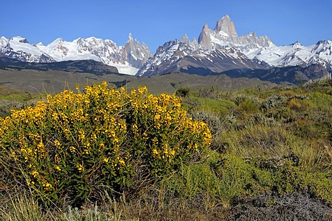 Mt. Cerro Torre and Mt. Fitz Roy, El Chalten, Andes, Patagonia, Argentina, South America