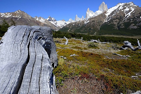 Peak of Mt. Fitzroy, El Chalten, Patagonia, Andes, Argentina, South America