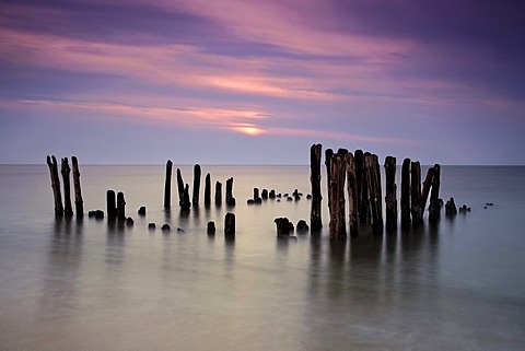 Groynes on the island of Sylt near Rantum in the winter evening light, Schleswig-Holstein, Germany, Europe