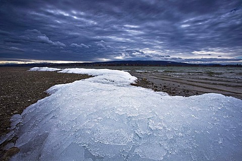 Last winter ice in spring near Allensbach on Lake Constance during heavy storms, Xynthia, Baden-Wuerttemberg, Germany, Europe