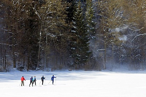 A group of cross-country skiers