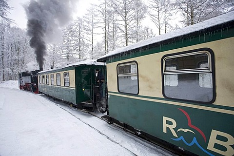 Rasender Roland' narrow gauge railway, Ruegen Island, Mecklenburg-Western Pomerania, Germany, Europe