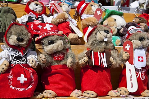 Plush toy Marmots, dressed in tradiotional Swiss costume, souvenir, Davos, Grisons, Switzerland, Europe