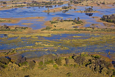 Aerial view, Okavango Delta, Botswana, Africa