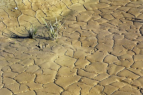 Dry cracks in sand, gravel plant in Geretsried, Bavaria, Germany, Europe