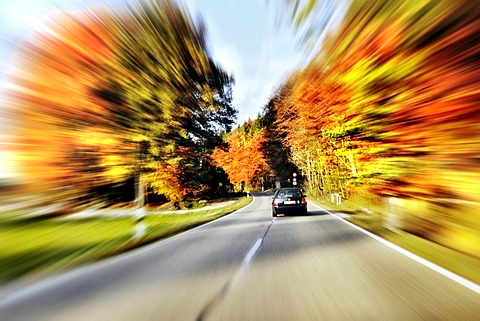 Road through a forest in autumn, Bavaria, Germany, Europe