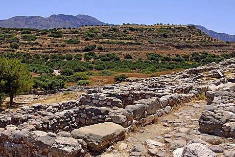 Gournia, Minoan archaeological site, Crete, Greece, Europe