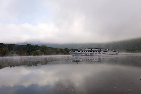 Vineyards of Trittenheim, passenger ship in the autumnal morning mist, Moselle river, Rhineland-Palatinate, Germany, Europe