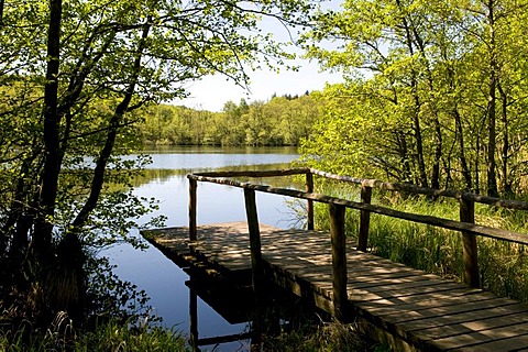 Wooden walkway at Lake Hertha in Jasmund National Park, Isle of Ruegen, Mecklenburg-Western Pomerania, Germany, Europe