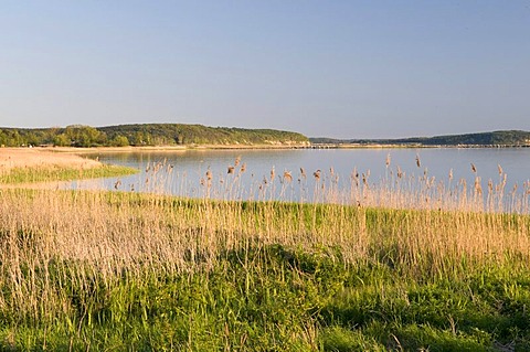 Evening mood at Grosser Jasmunder Bodden, Isle of Ruegen, Mecklenburg-Western Pomerania, Germany, Europe