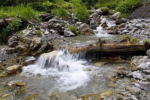 Mountain stream on the Parpfienzweg path in Brandnertal Valley, Vorarlberg, Austria, Europe