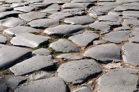 Pavement in the Forum Romanum, Rome, Italy, Europe