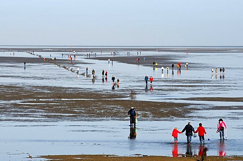 Low tide in the Wadden Sea, Duhnen district, North Sea resort Cuxhaven, Lower Saxony, Germany, Europe