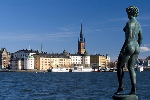 Statue and historic town Riddarholmen, Stockholm, Sweden, Scandinavia, Europe