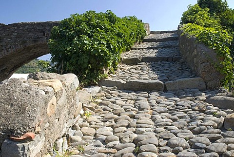Medieval stairs with pebble paving, Taggia, Riviera, Liguria, Italy, Europe