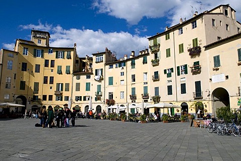 Piazza Anfiteatro square, Lucca, Tuscany, Italy, Europe