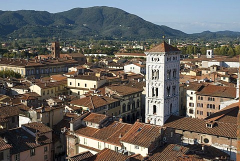 View of Lucca from Torre Civica Delle Ore, Lucca, Tuscany, Italy, Europe