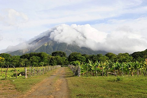 View of the volcano Concepcion, 1604 m, Charco Verde, Ometepe Island in Lake Nicaragua, Nicaragua, Central America