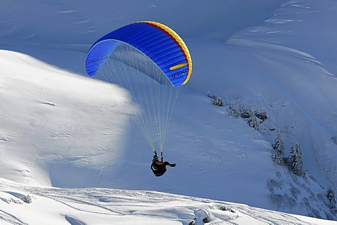 Paragliding on Mt Nebelhorn, 2224m, Oberstdorf, Allgaeu, Bavaria, Germany, Europe