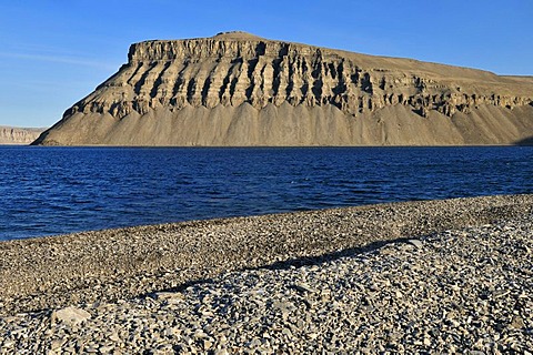 Arctic tundra and rocky beach at Maxwell Bay, Devon Island, Northwest Passage, Nunavut, Canada, Arctic