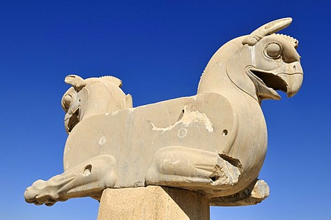 Bird of prey shaped capital at the Achaemenid archeological site of Persepolis, UNESCO World Heritage Site, Persia, Iran, Asia