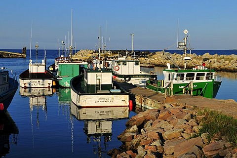 Fishing boat in the harbour of Grosse Ile, Iles de la Madeleine, Magdalen Islands, Quebec Maritime, Canada, North America