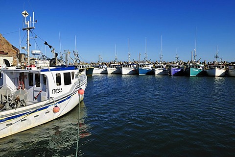 Fishingboats in the harbour of L'Etang du Nord, Ile du Cap aux Meules, Iles de la Madeleine, Magdalen Islands, Quebec Maritime, Canada, North America