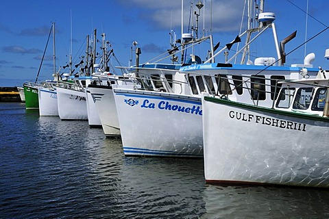 Fishing boats in the harbour of L'Etang du Nord, Ile du Cap aux Meules, Iles de la Madeleine, Magdalen Islands, Quebec Maritime, Canada, North America