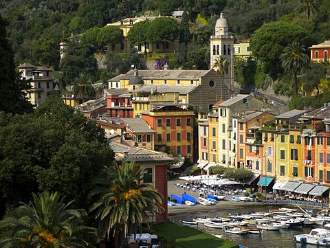 View of Portofino, harbor, Riviera, Liguria, Italy, Europe