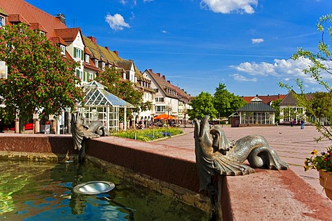 Town Hall Fountain, Upper Market Square, Freudenstadt, Black Forest, Baden-Wuerttemberg, Germany, Europe