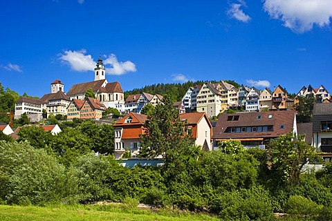 Cityscape with Stiftskirche Heilig Kreuz collegiate church, Horb am Neckar, Black Forest, Baden-Wuerttemberg, Germany, Europe