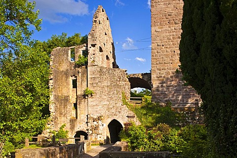 Burgruine Zavelstein castle ruins, Bad Teinach Zavelstein, Black Forest, Baden-Wuerttemberg, Germany, Europe