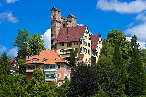 Burg Berneck castle with Hoher Mantel shield wall, Berneck, Black Forest, Baden-Wuerttemberg, Germany, Europe