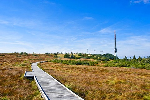 Hornisgrinde mountain, boardwalk at Hornisgrinde educational trail, Black Forest, Baden-Wuerttemberg, Germany, Europe