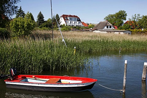 Port in Breege, in the north of Ruegen island, Mecklenburg-Western Pomerania, Germany, Europe