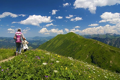 Trail from Kanzelwand Mountain to Fellhorn Mountain, Kleinwalsertal, Little Walser Valley, Allgaeu, Vorarlberg, Austria, Europe