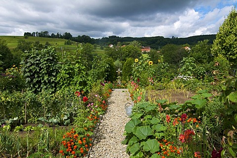 Farm museum in Wolfegg, Upper Swabia, Allgaeu, Baden-Wuerttemberg, Germany, Europe