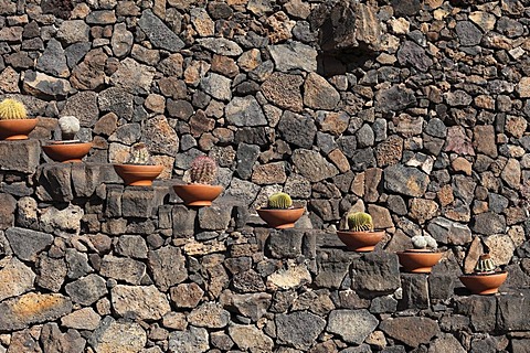 Stairs with potted cacti, cactus garden, Jardin de cactus, designed by Cesar Manrique, Guatiza, Lanzarote, Canary Islands, Spain, Europe