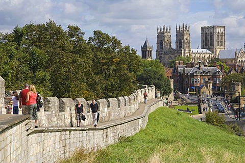 York with York Minster from city wall, York, Yorkshire, England, United Kingdom, Europe