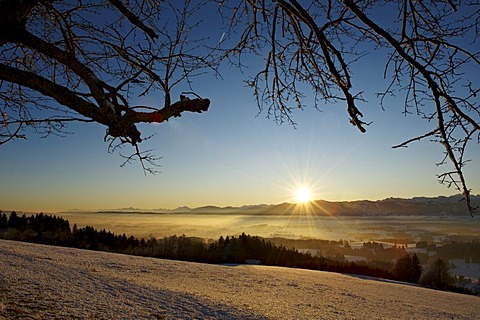 Sunrise on Mt. Auerberg, snow, Bernbeuren, Bavaria, Germany, Europe