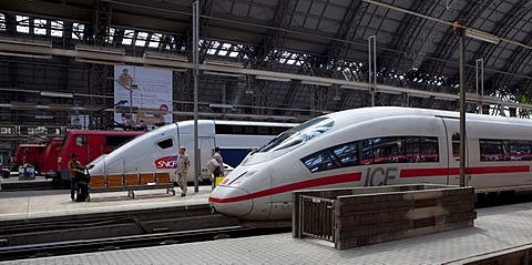 An ICE train of the Deutsche Bundesbahn German Federal Railways and a SNCF train of the French Railways standing in the Frankfurt train station, Frankfurt am Main, Hesse, Germany, Europe