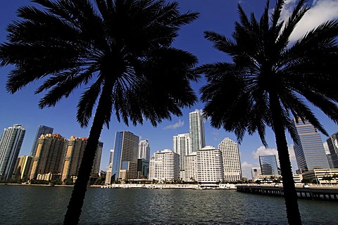 Brickell Key Drive, Downtown Miami, Florida, USA