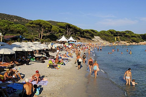 Palombaggia beach, Corsica, France, Europe